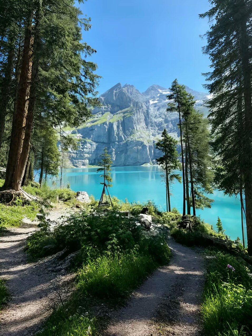 스위스의 아름다운 풍경 속으로 #Switzerland #스위스여행 image 1