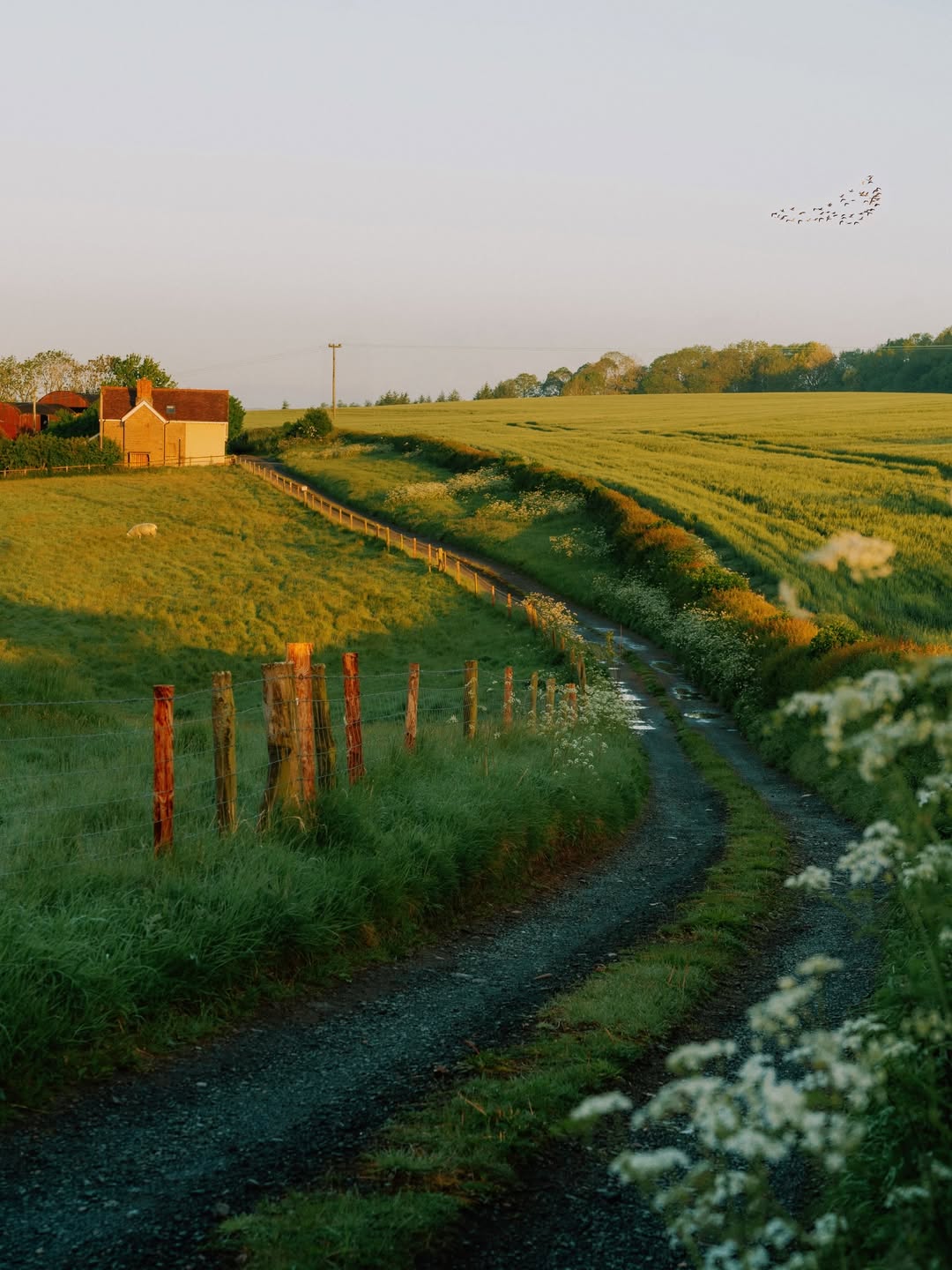 농부의 발자취 🍃 image 1