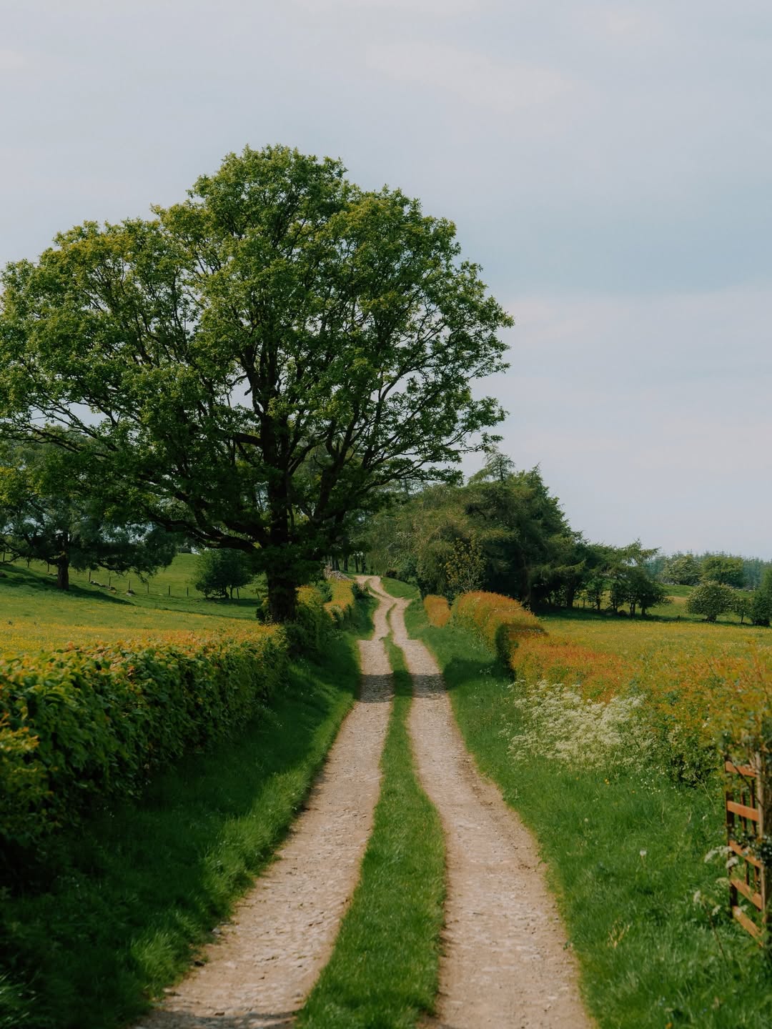 농부의 발자취 🍃 image 3