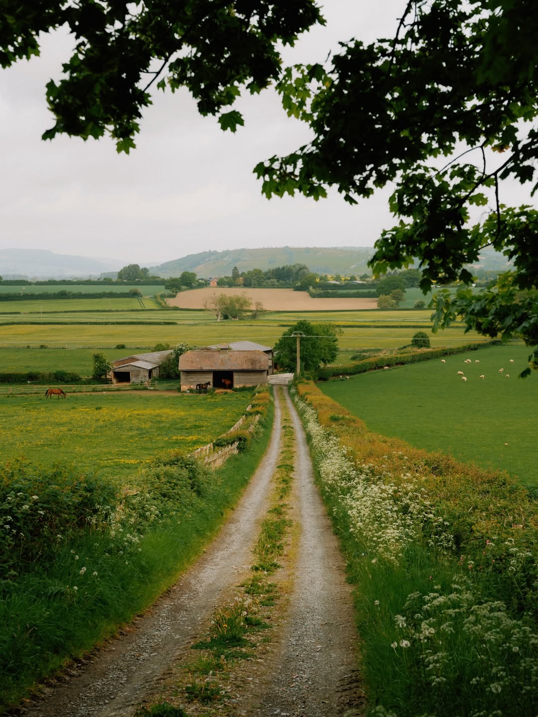 농부의 발자취 🍃 image 2