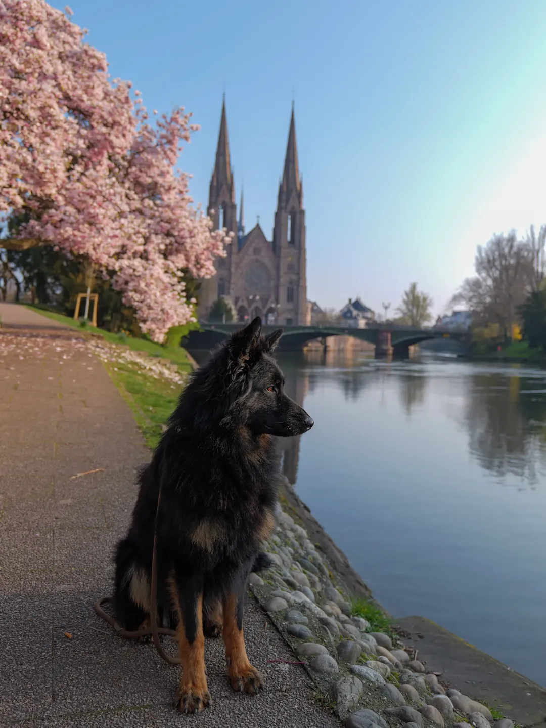 프랑스 스트라스부르 🇨🇵 image 2