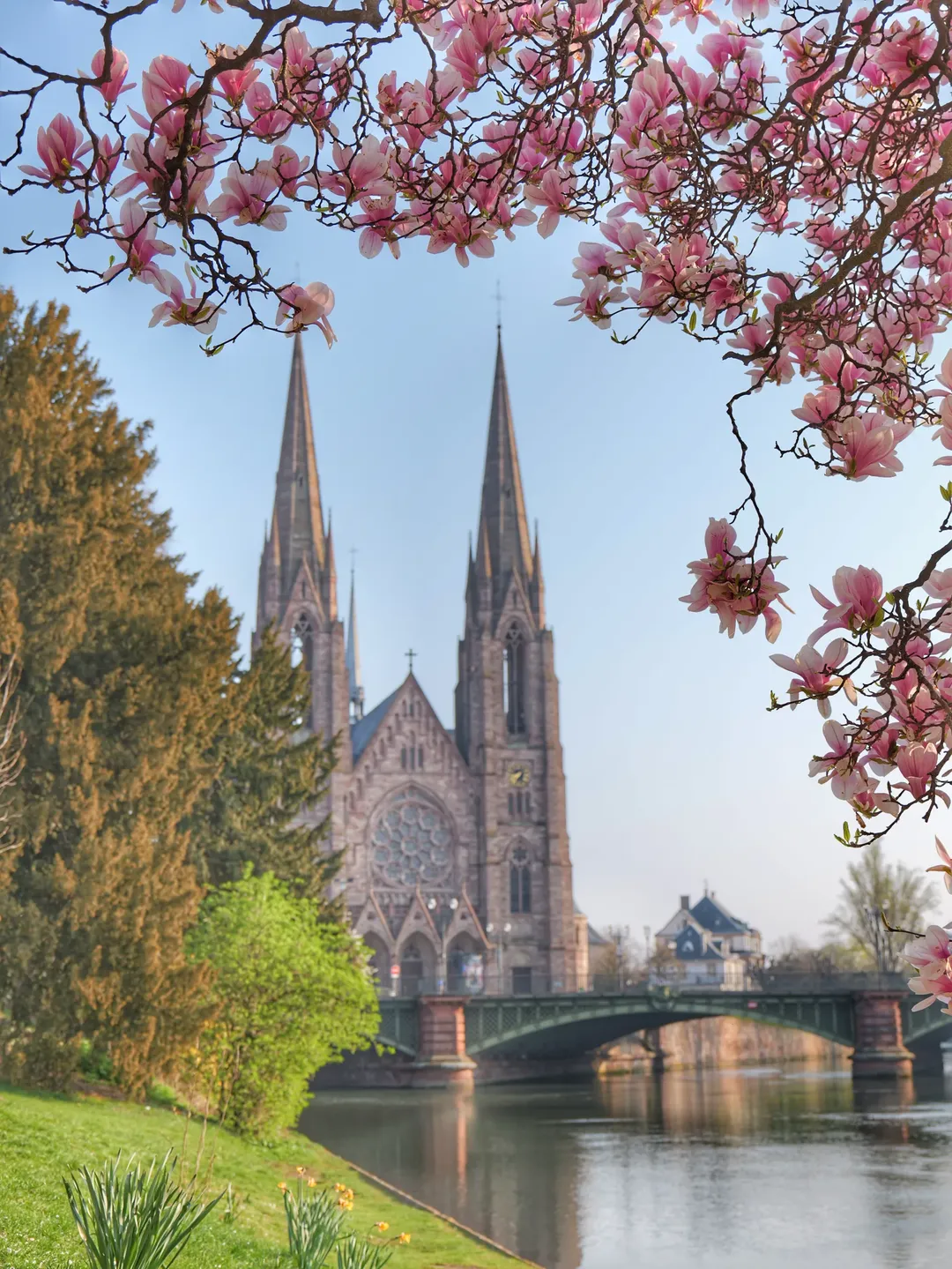 프랑스 스트라스부르 🇨🇵 image 1