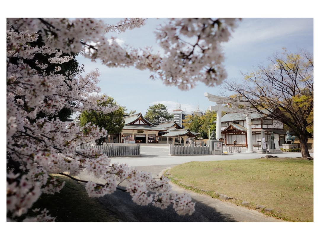 히로시마에 찾아온 봄 image 3