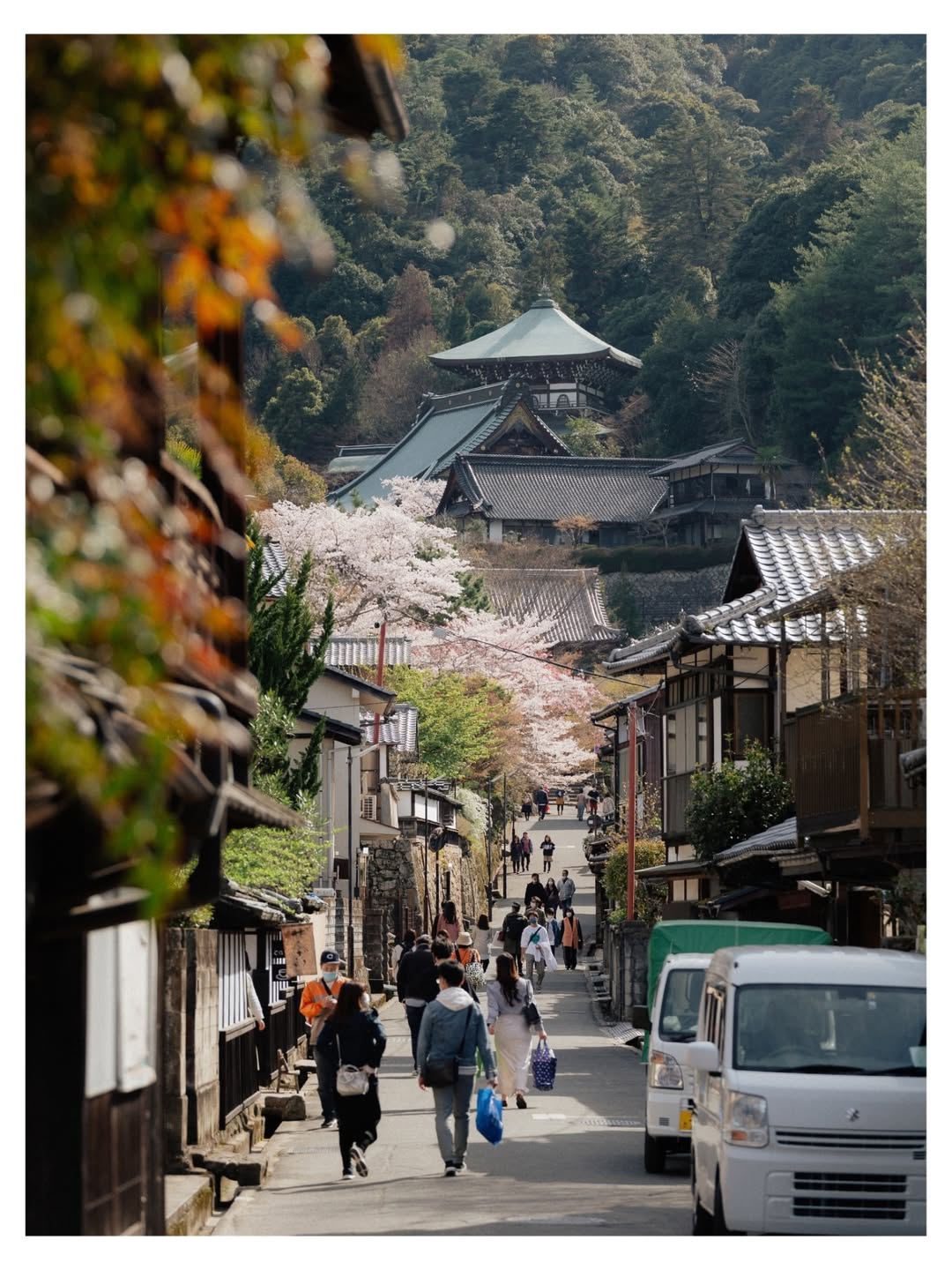 히로시마에 찾아온 봄 image 5