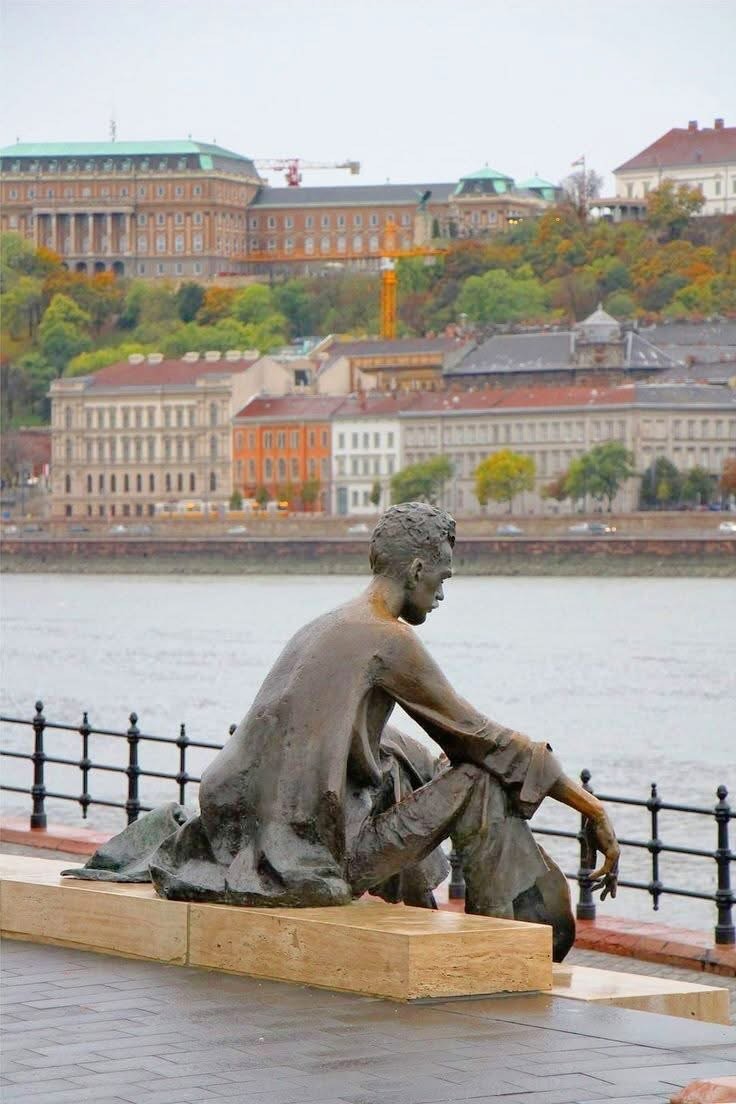 헝가리 부다페스트 🇭🇺 image 5