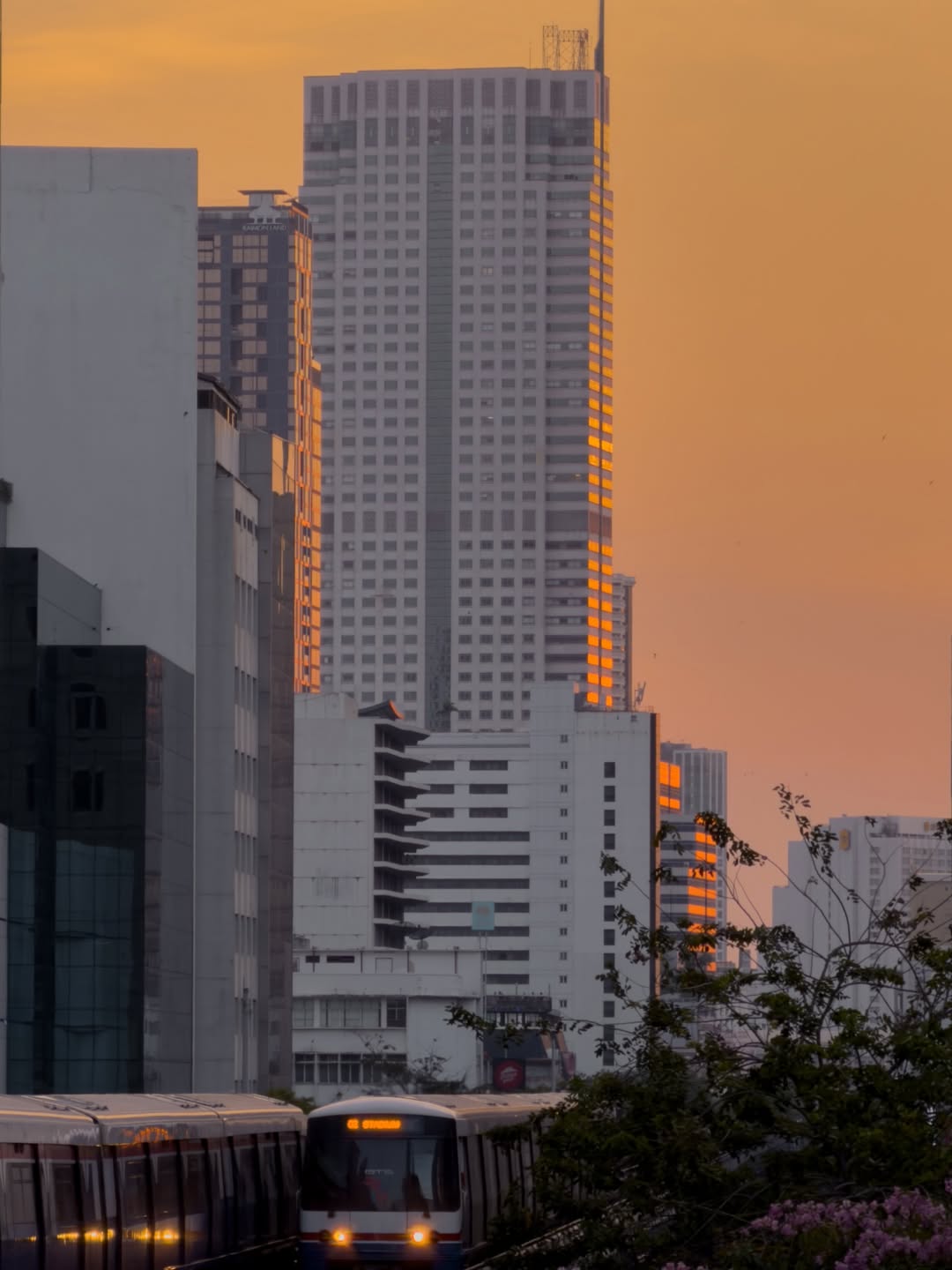 여름날의 방콕 ☀️ image 5