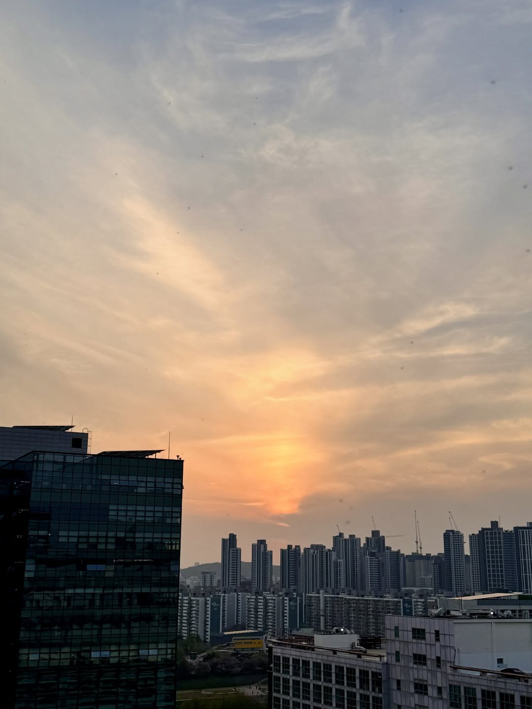 오늘의 노을 image 3