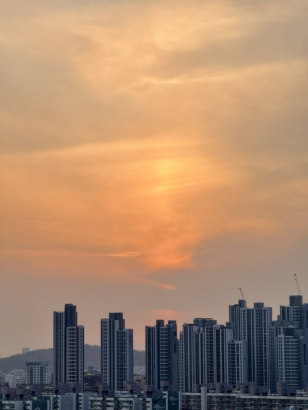 오늘의 노을 image 2