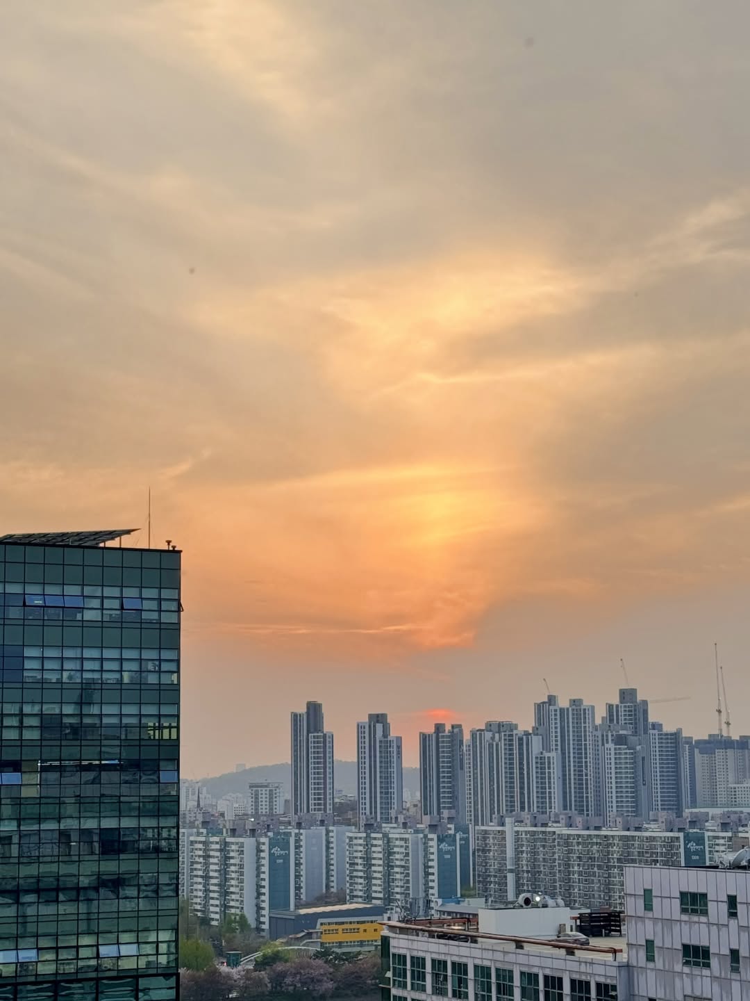 오늘의 노을 image 1