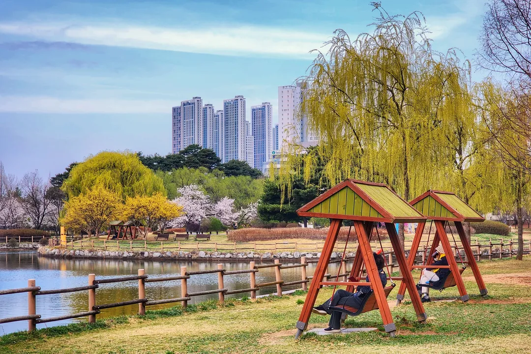 일산 호수공원 실시간 image 2