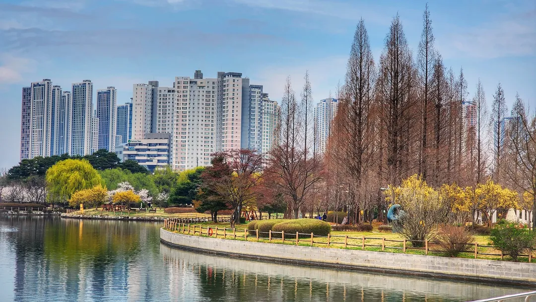 일산 호수공원 실시간 image 3