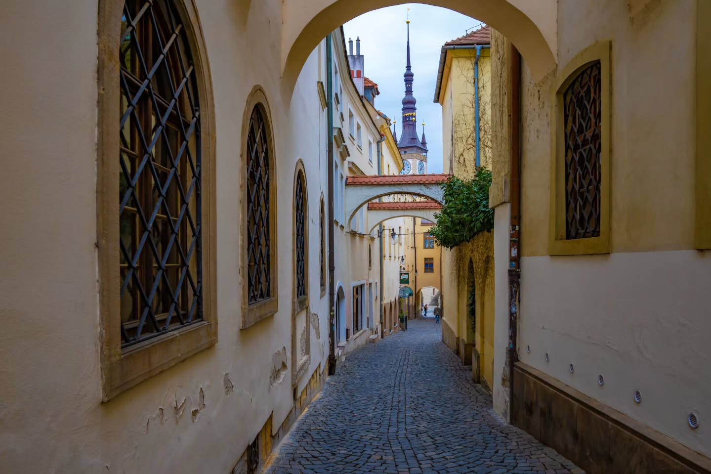 체코 남모라아. image 3