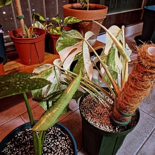 구서울역 건물 참 멋드러지잖아 image 4