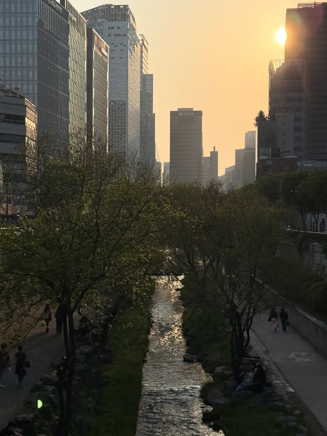 서울에서 맞이하는 나의 봄날 🌸 image 5