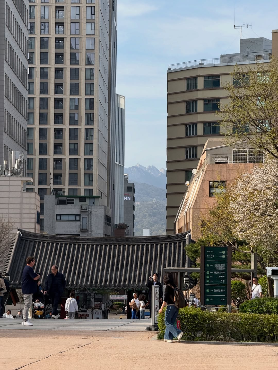 서울에서 맞이하는 나의 봄날 🌸 image 1