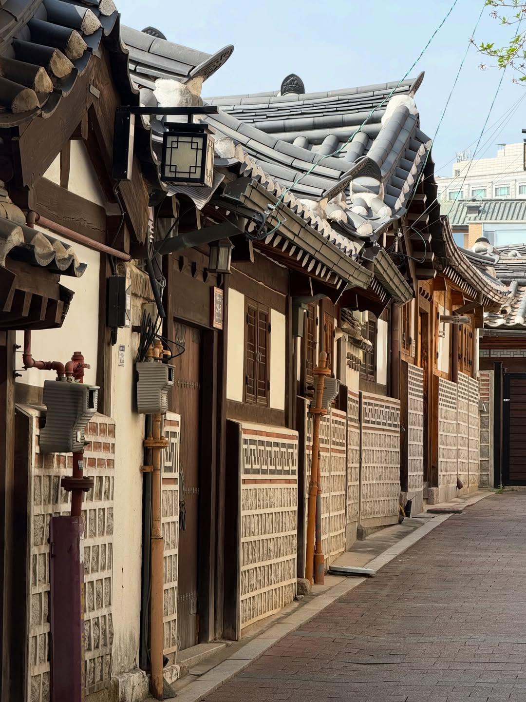 서울에서 맞이하는 나의 봄날 🌸 image 4