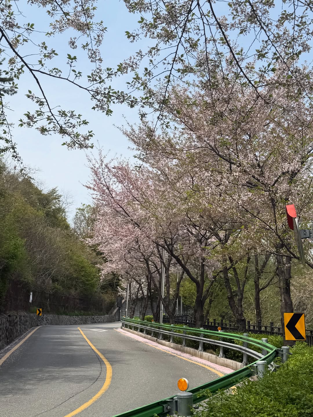 서울에서 맞이하는 나의 봄날 🌸 image 3
