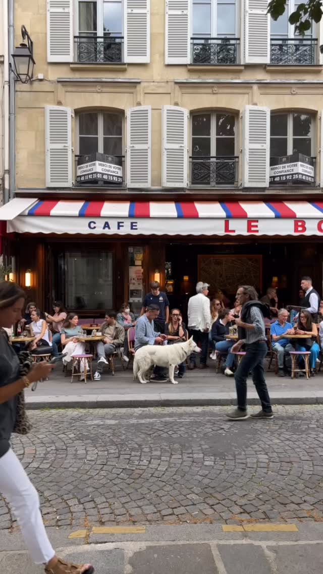 다시 활기 넘치는 파리 카페 테라스 image 5