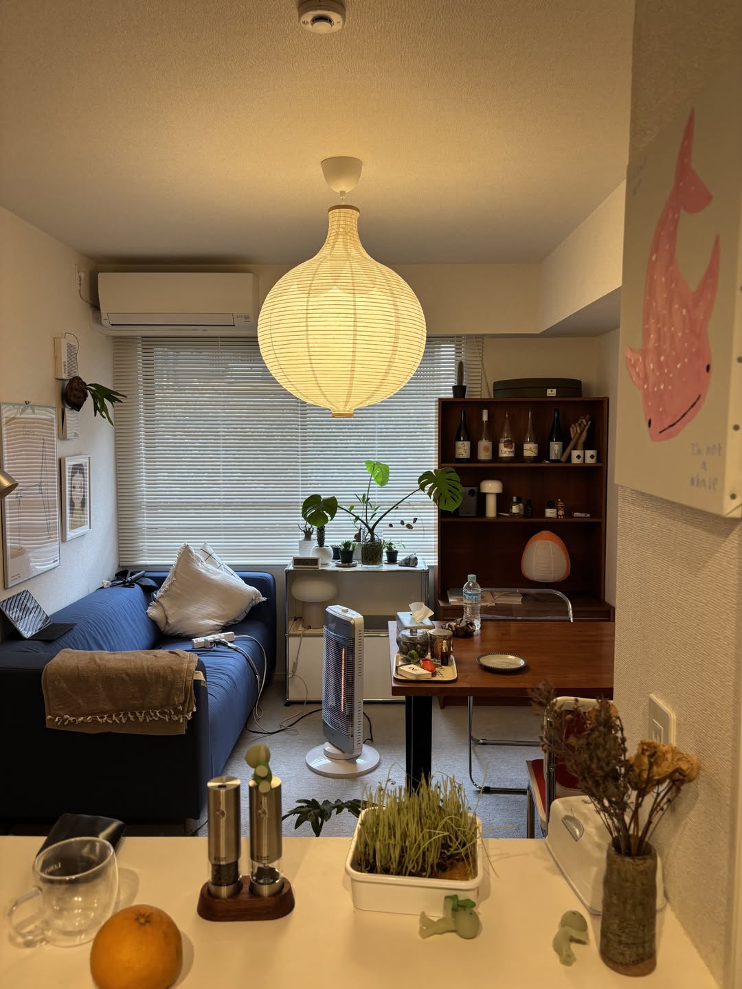 월세 8만 엔, 1LDK 신혼집🏡 건축 회사원의 내추럴 포인트 인테리어 image 1
