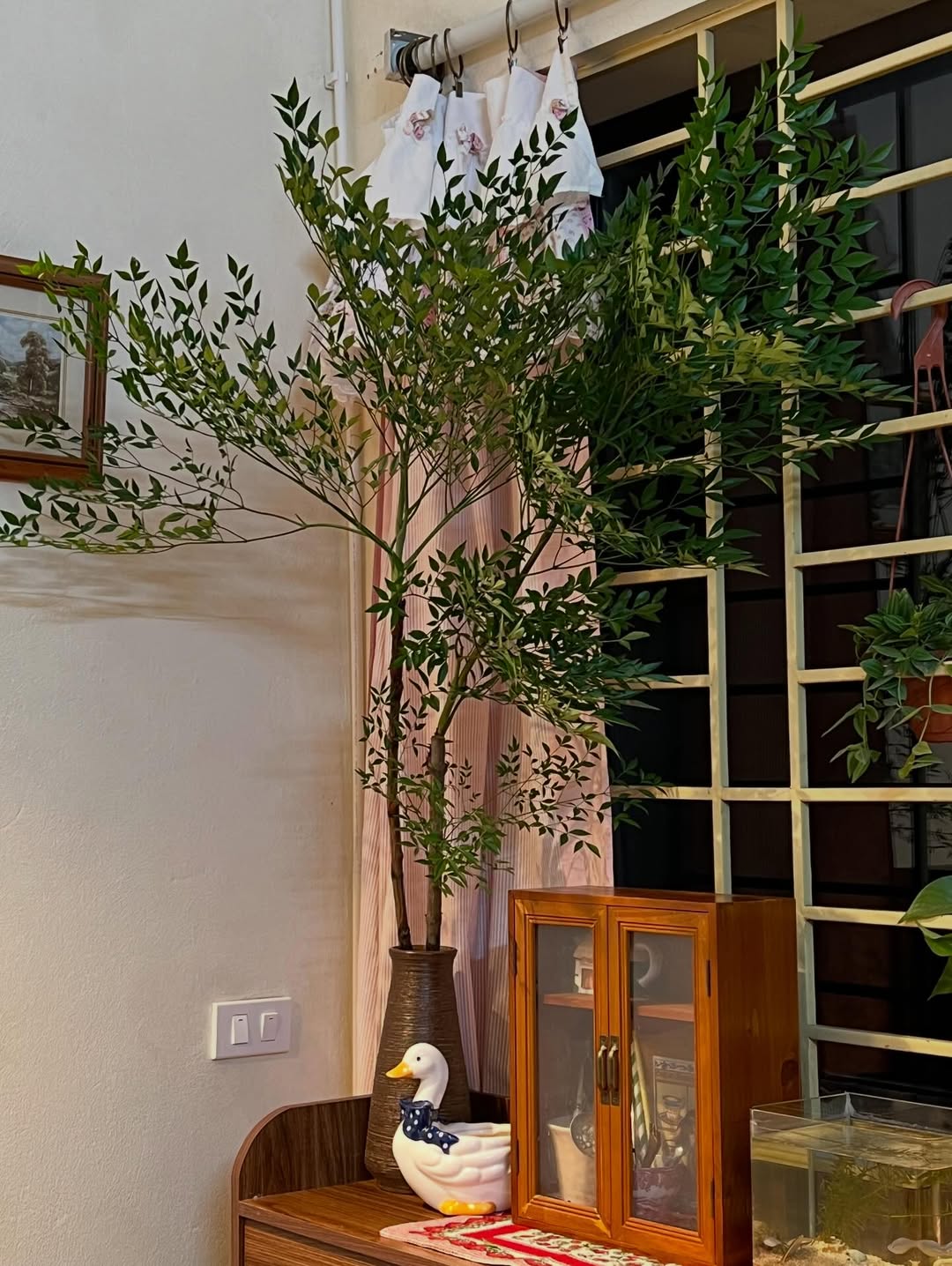포근함 ⋆. image 3