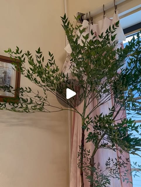 포근함 ⋆. image 5