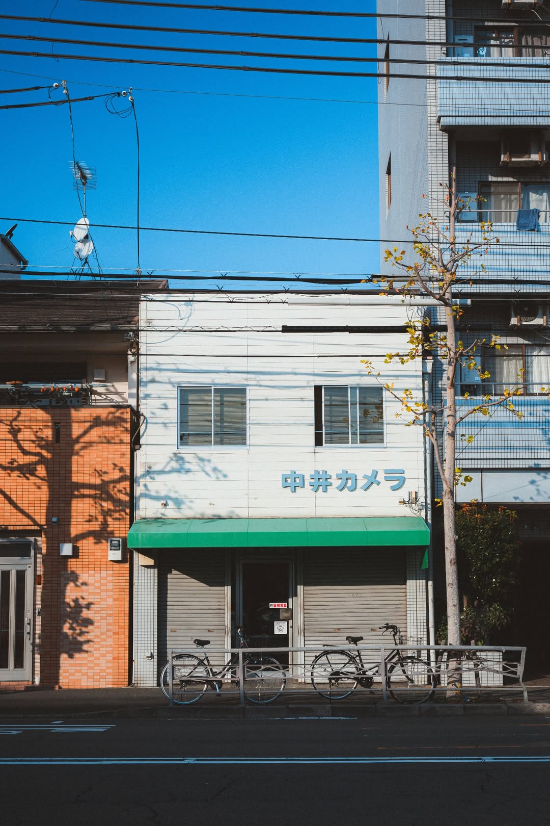교토의 매일: 따스한 일상 풍경 image 4