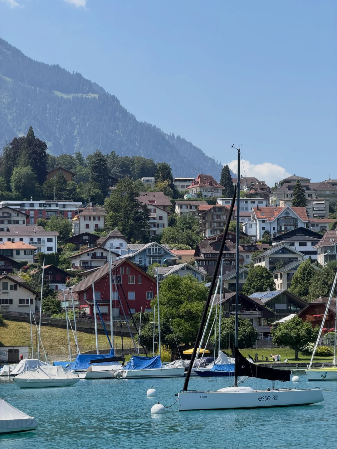 스위스 감성 가득🇨🇭 image 5