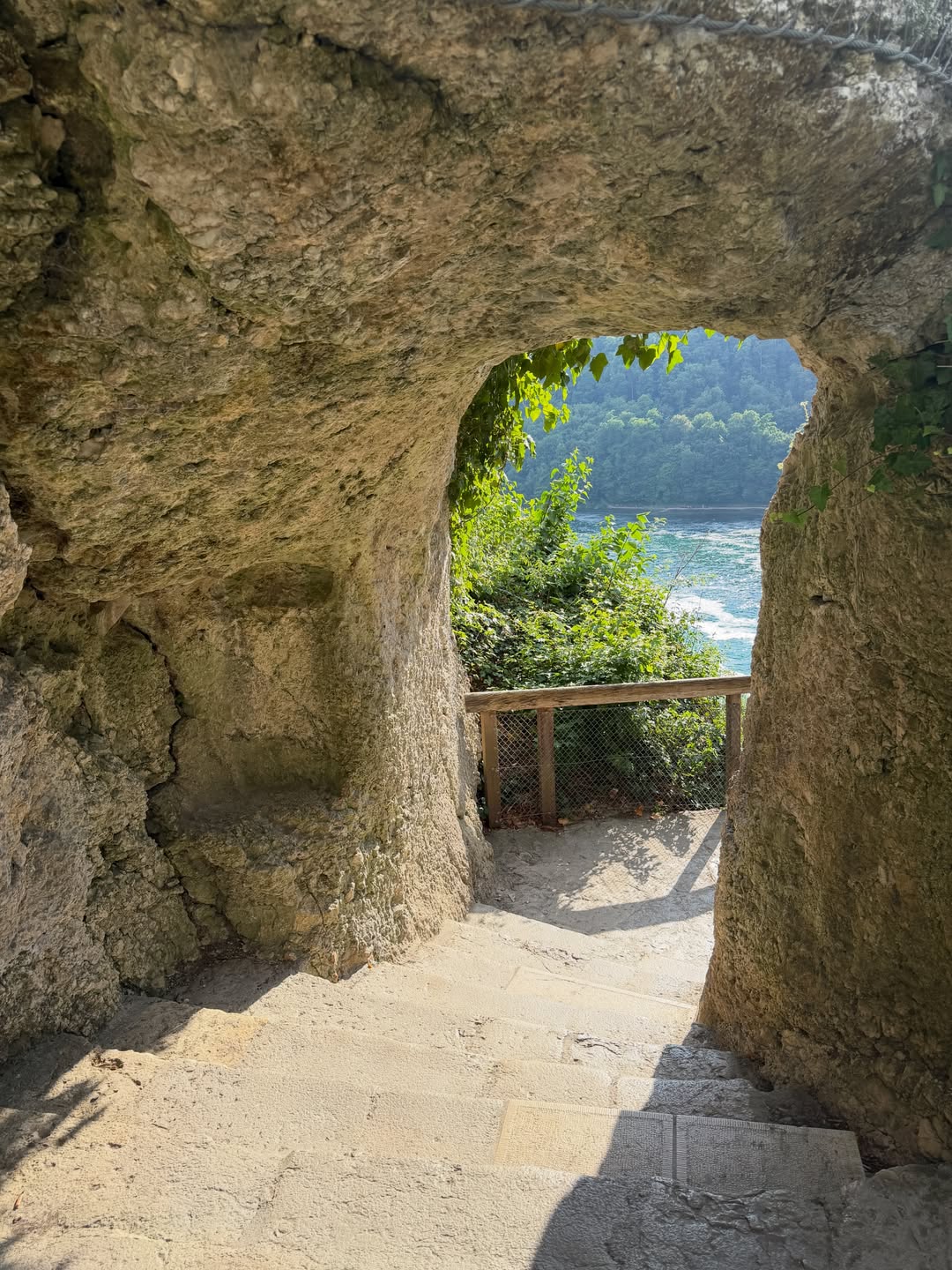 스위스 감성 가득🇨🇭 image 1