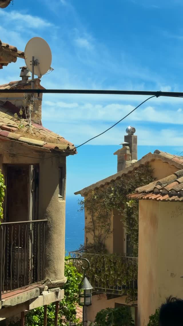 휴가인 줄 알았는데, 영혼을 빼앗겼어요 🏖️ image 7