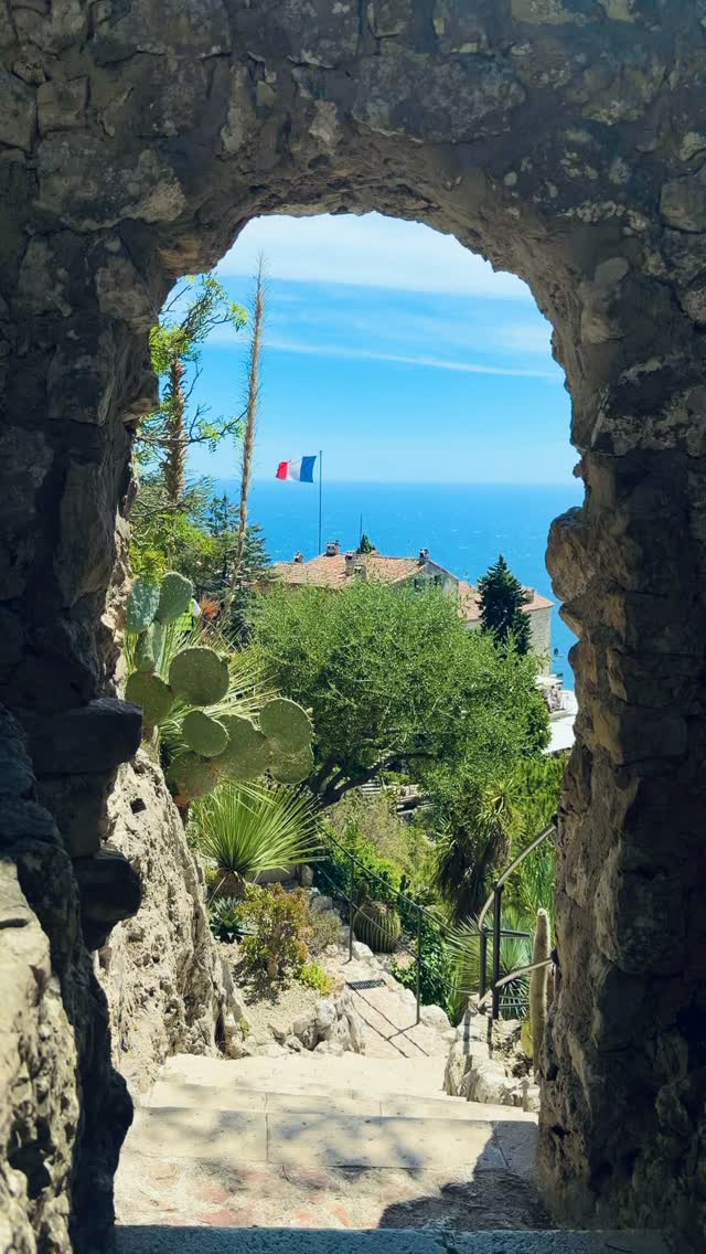 휴가인 줄 알았는데, 영혼을 빼앗겼어요 🏖️ image 6
