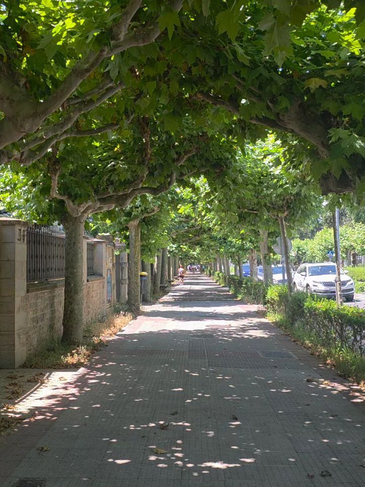 Camino Day 4 더운 날씨에 까미노가 비수기. image 9
