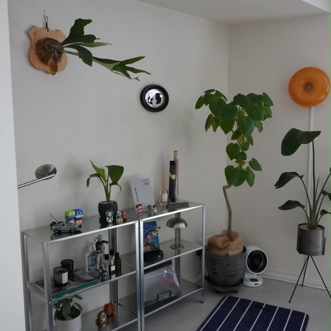 거실 인테리어 🏠🌿 image 4