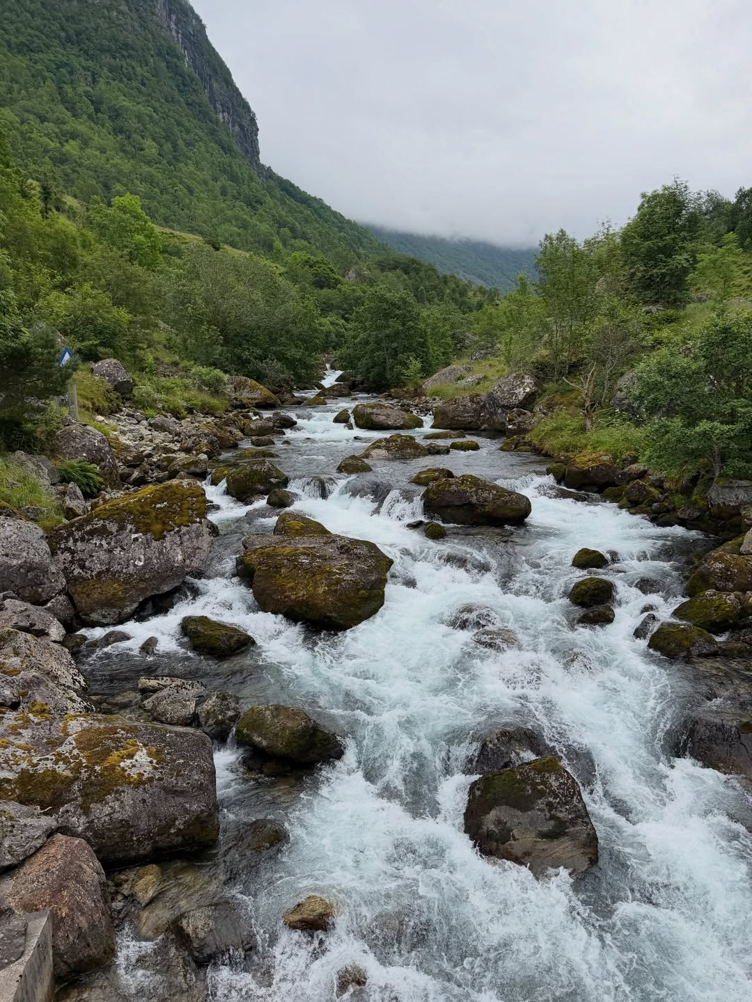 노르웨이, 꾸밈없는 자연의 영감 🇳🇴 image 4