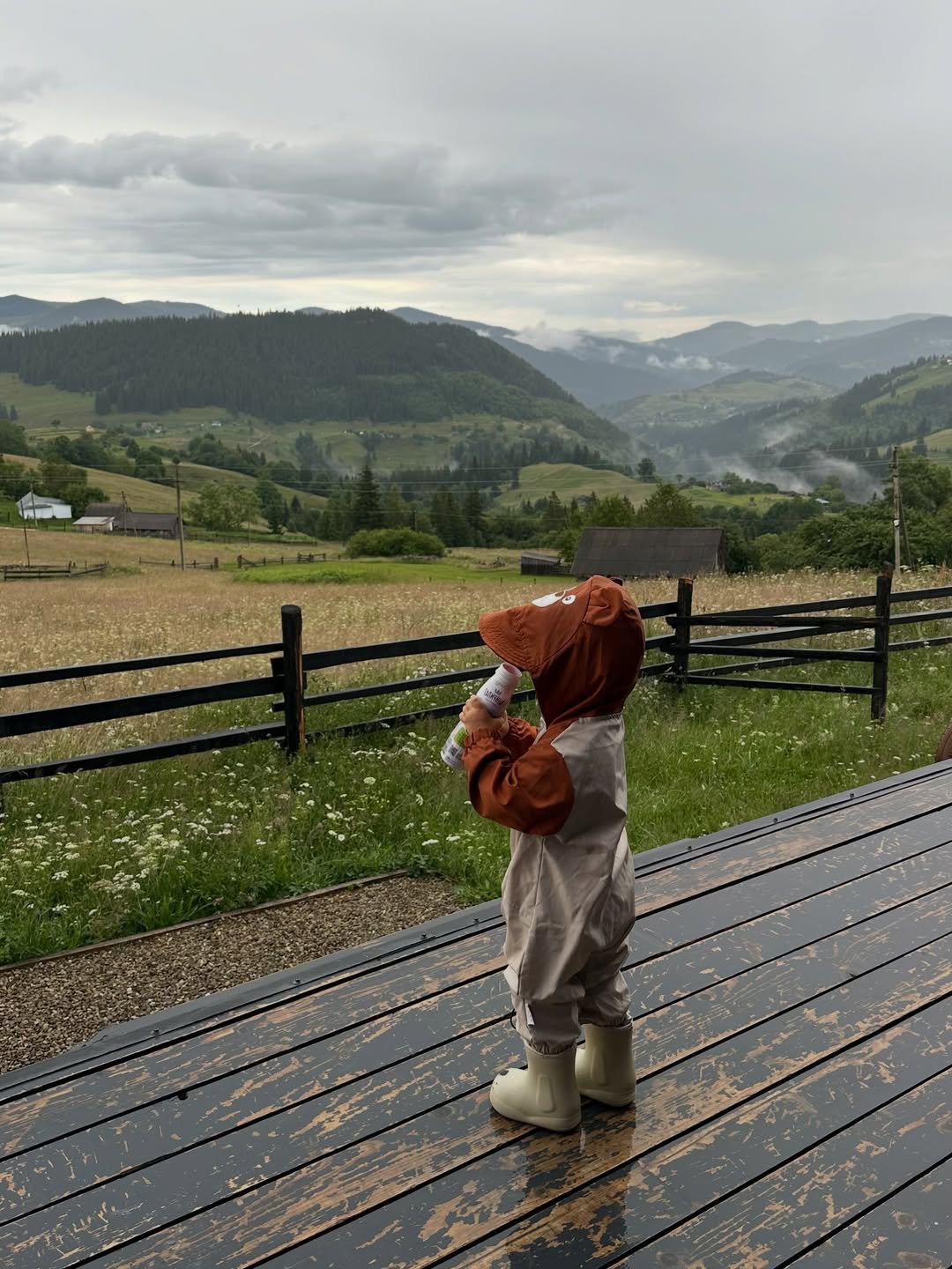 카르파티아의 정취 🌄 image 3