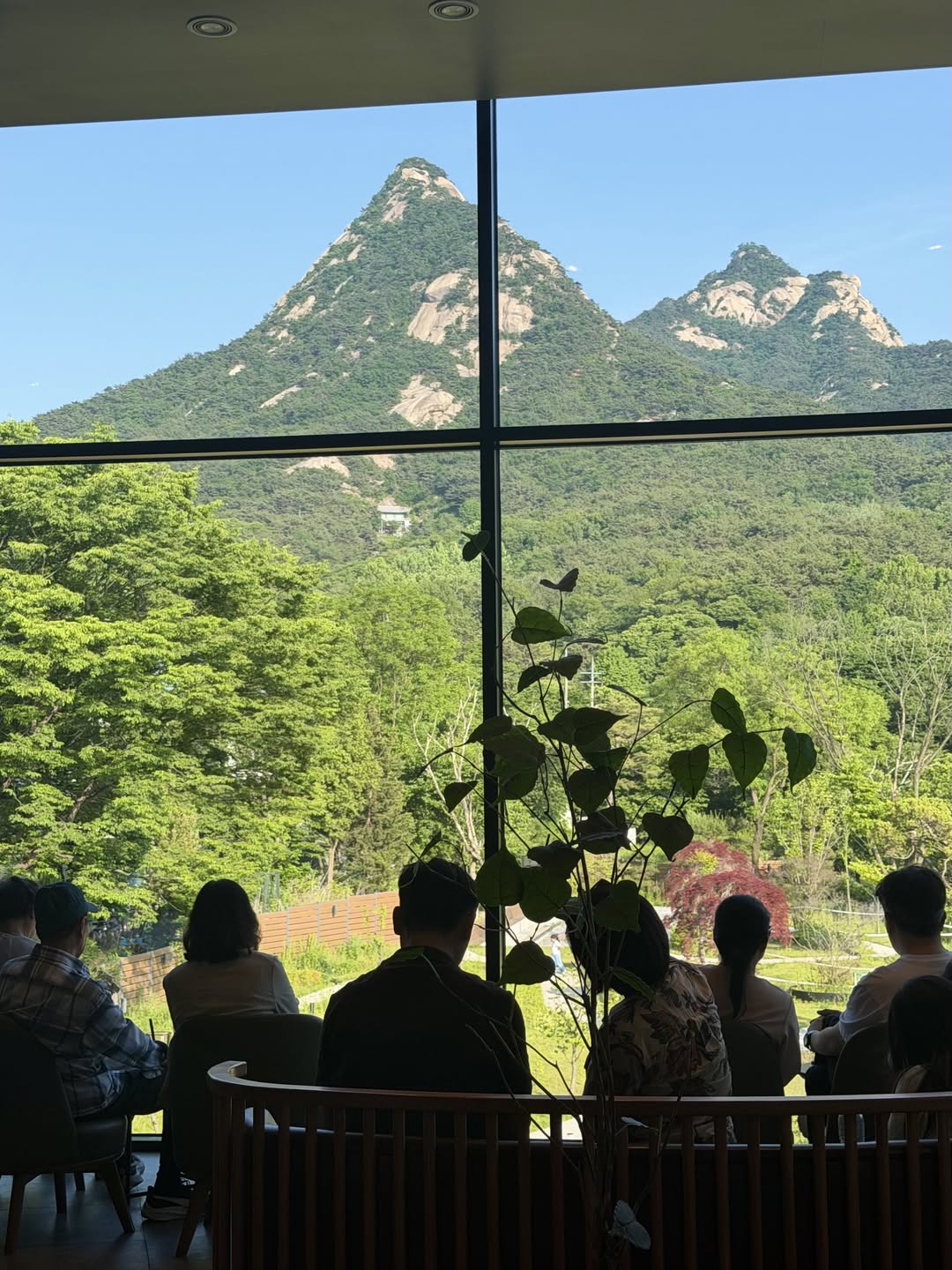 모닝커피를 위한 완벽한 공간을 찾았어요! image 5