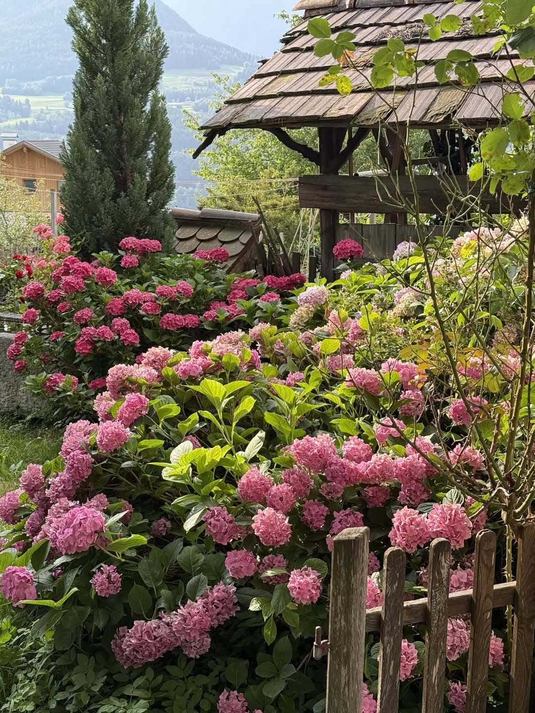 자꾸만 머물고 싶은 아늑한 공간 image 7