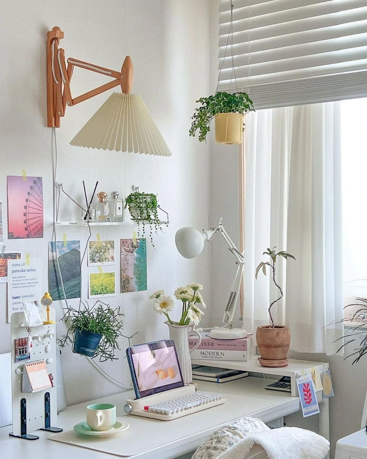 햇살 가득한 식물 데스크테리어 - 3
